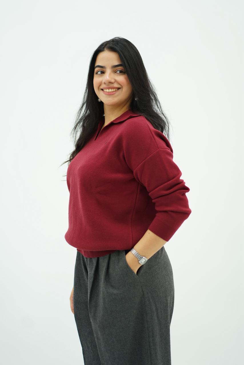 Pulls élégant classique à col V -- Multi-Couleurs