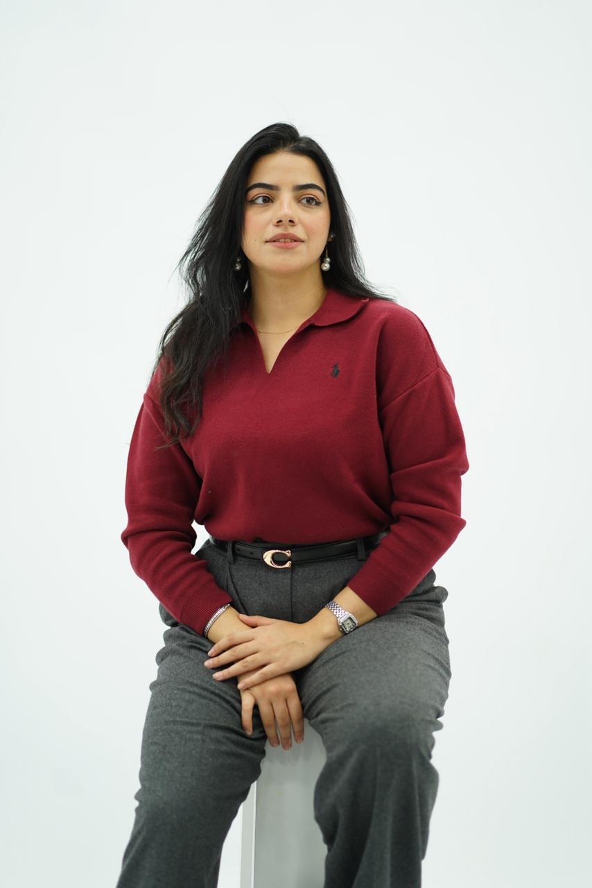 Pulls élégant classique à col V -- Multi-Couleurs