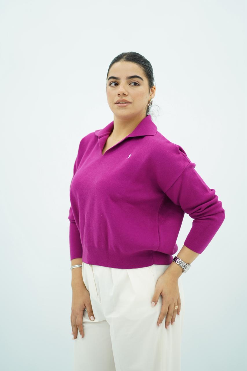 Pulls élégant classique à col V -- Multi-Couleurs