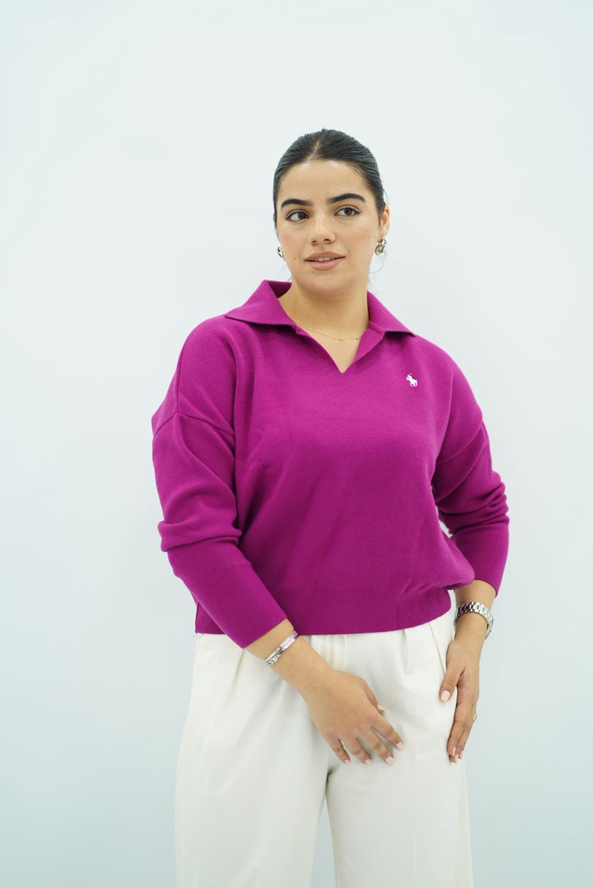 Pulls élégant classique à col V -- Multi-Couleurs